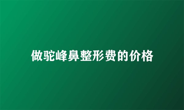 做驼峰鼻整形费的价格