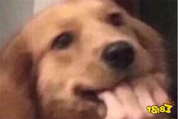 王者荣耀抖音主播排行:猫萌上榜,第九是最菜女主播