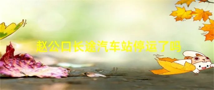 赵公口长途汽车站停运了吗
