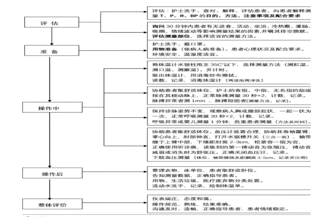 生命体征测量操作流程图