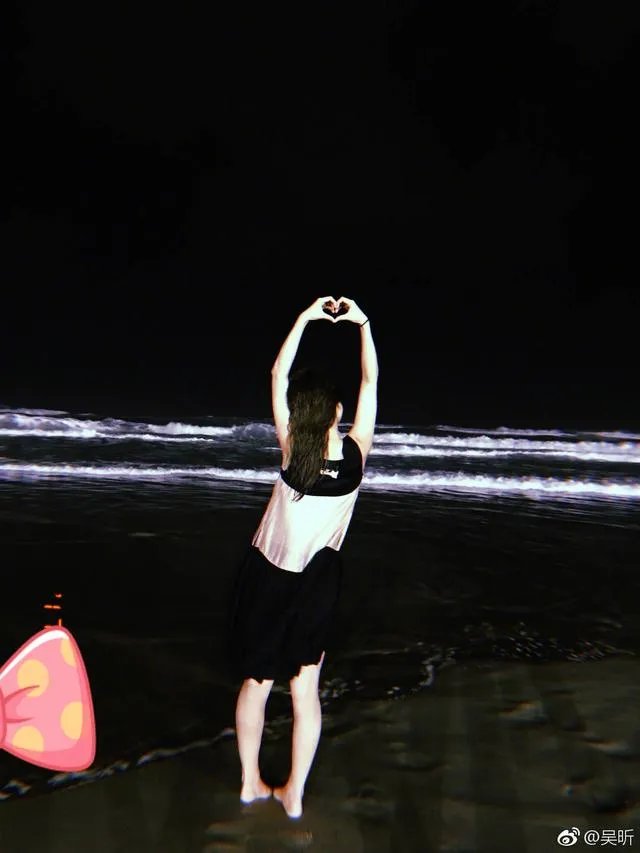 吴昕微博晒自拍并附文“拍出全智贤的感觉了吗”，你怎么看？