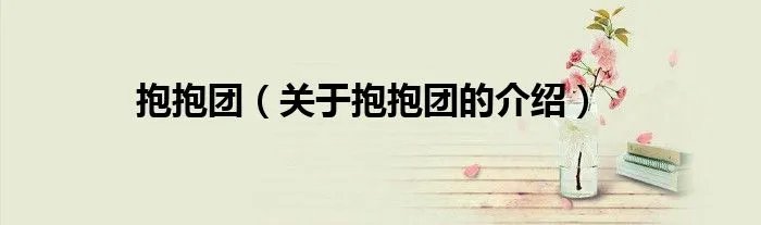 抱抱团（关于抱抱团的介绍）