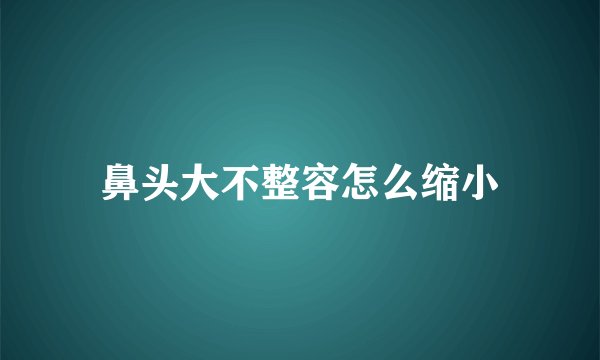 鼻头大不整容怎么缩小