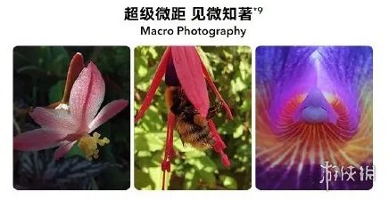 华为荣耀20/20Pro详细配置一览 华为英国发布会荣耀20系列性能评分曝光