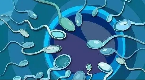 上海供卵试管-上海捐卵捐精三代试管多少钱? 一次要多少钱?