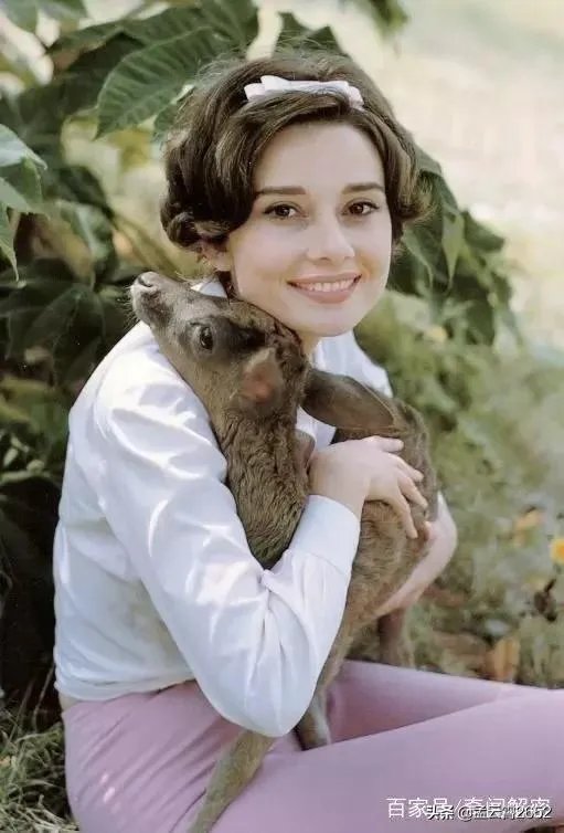 你有没有收藏奥黛丽赫本的经典照片？