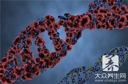 什么叫等位基因