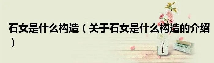 石女是什么构造（关于石女是什么构造的介绍）