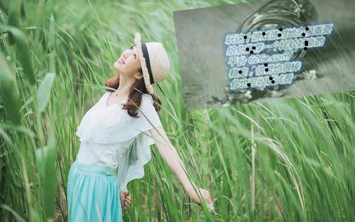 关于手机游戏网站《绿游网》