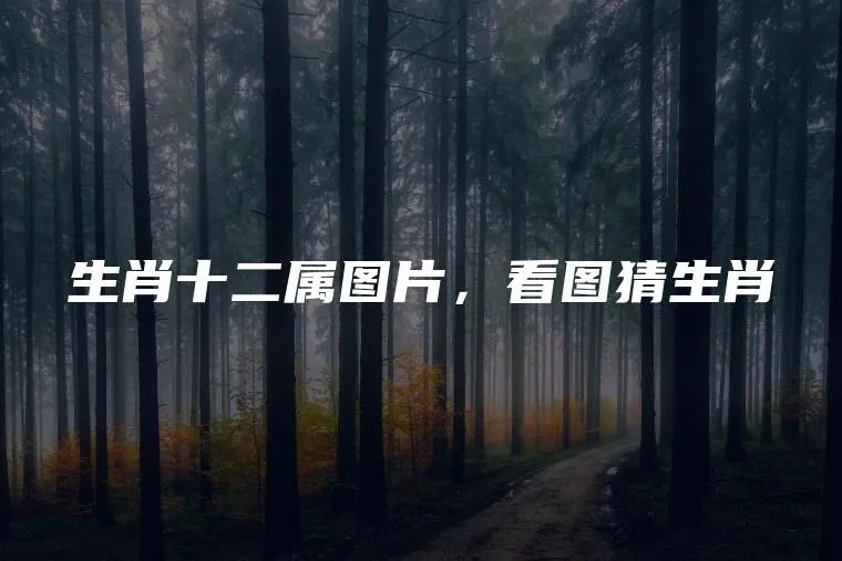 生肖十二属图片，看图猜生肖