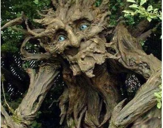 十大危险吃人植物 食人花吃人的样子真实图片