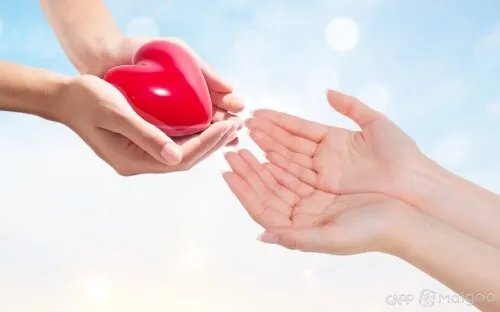 2021福布斯中国慈善榜发布 中国捐款最多的人排行榜一览