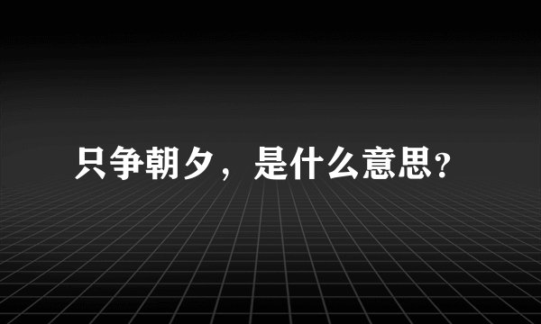 只争朝夕，是什么意思？