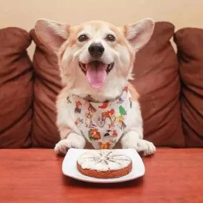 抖音最火情侣头像大全