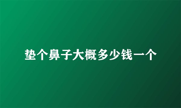 垫个鼻子大概多少钱一个