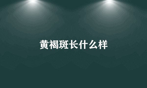 黄褐斑长什么样