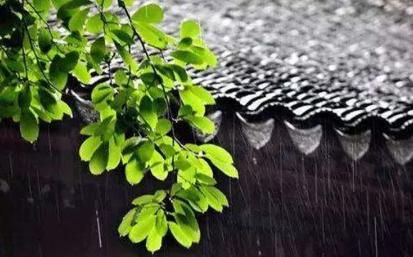 出梅是什么意思？