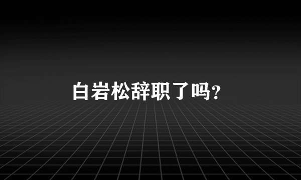 白岩松辞职了吗？