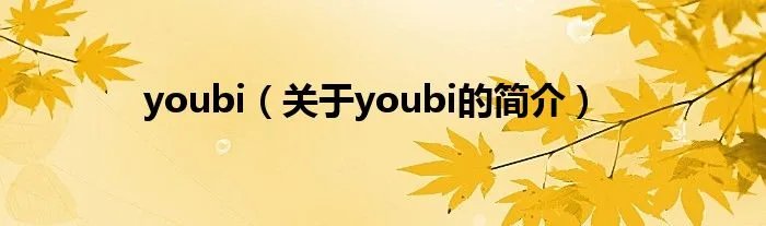 youbi（关于youbi的简介）