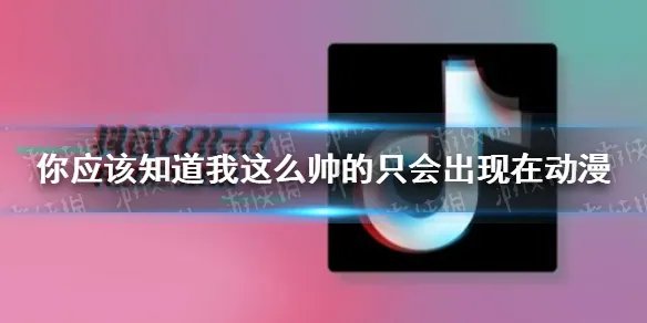 你应该知道我这么帅的只会出现在动漫是什么歌 个人简介歌词分享