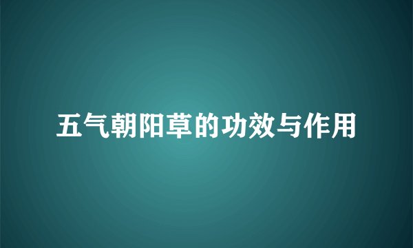 五气朝阳草的功效与作用