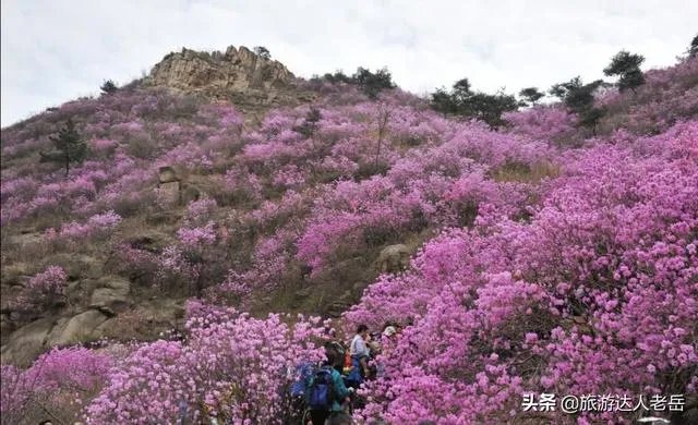 现在去什么地方旅游最好？