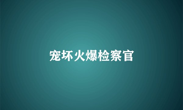 宠坏火爆检察官