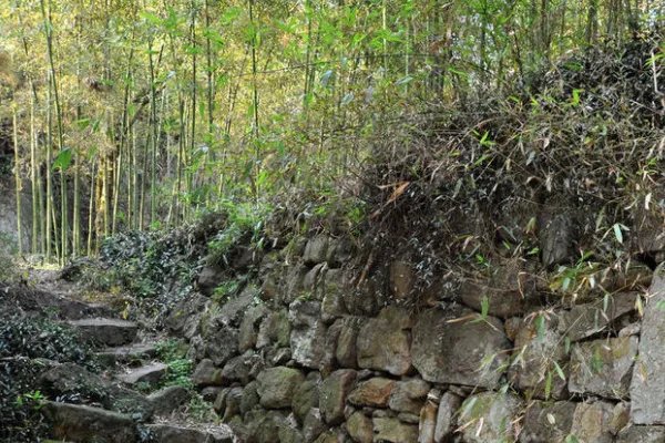 安吉旅游景点排名前十有哪些？