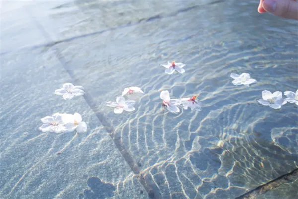 2020十大网络流行歌曲：没有人永远年轻，但永远有人年轻