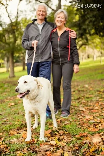 东莞疫情最新消息（广东东莞新增1例本土确诊）