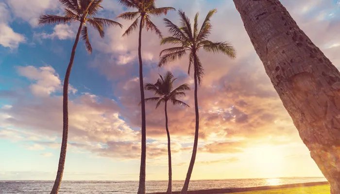 夏威夷属于哪个洲