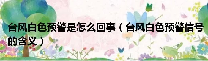 台风白色预警是怎么回事（台风白色预警信号的含义）