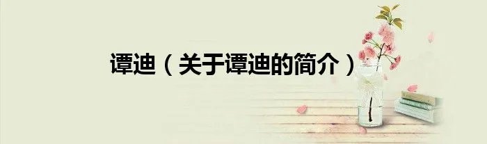 谭迪（关于谭迪的简介）