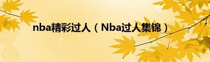 nba精彩过人（Nba过人集锦）