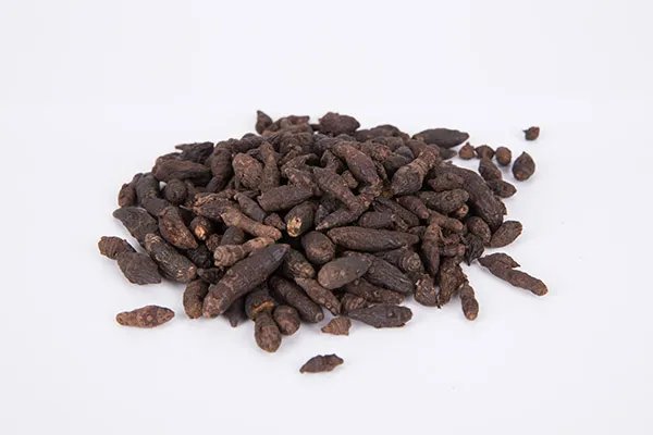 醋香附的功效与作用