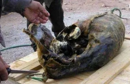 基维亚克好吃吗 基维亚克什么味道