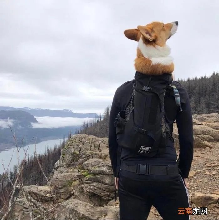 13张视觉错误照片 视觉错误图片