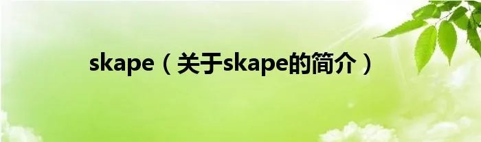 skape（关于skape的简介）