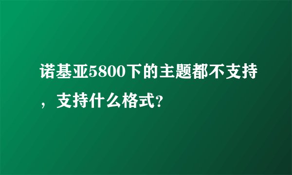 诺基亚5800下的主题都不支持，支持什么格式？