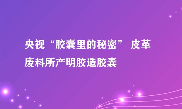 央视“胶囊里的秘密” 皮革废料所产明胶造胶囊