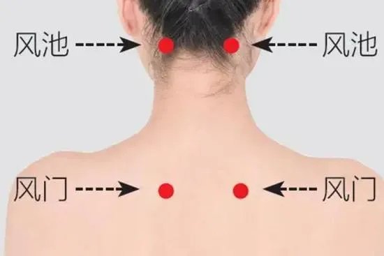 风池的准确位置图和作用
