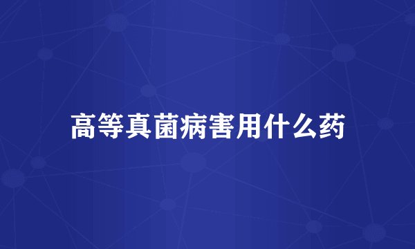 高等真菌病害用什么药