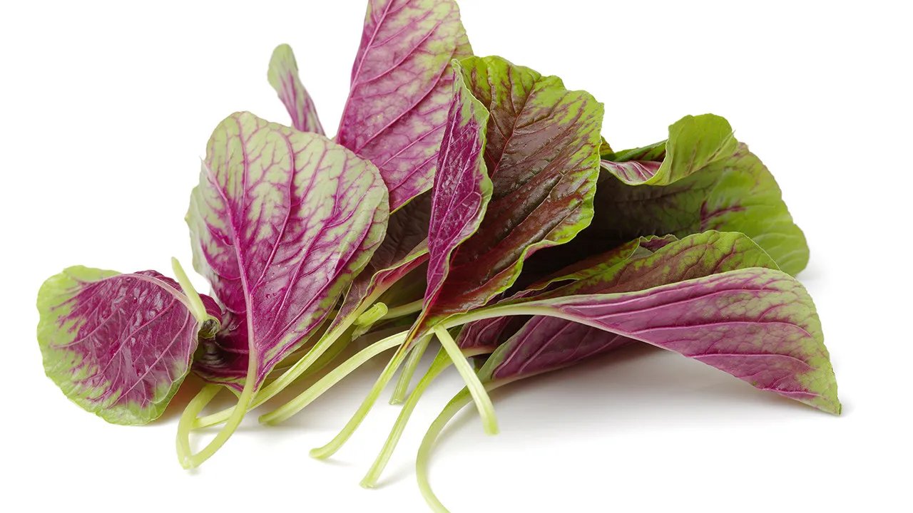 苋菜的营养价值