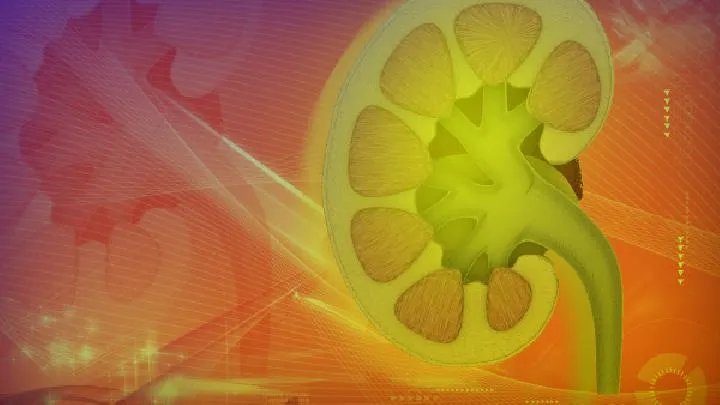 肾炎是如何引起的