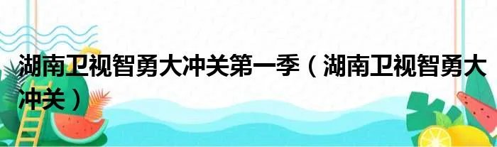 湖南卫视智勇大冲关第一季（湖南卫视智勇大冲关）