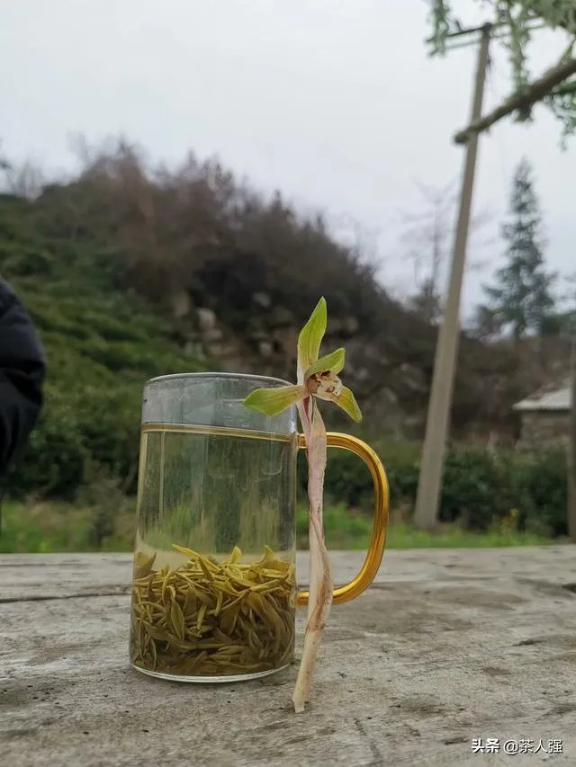 正宗信阳毛尖价格多少钱一斤？