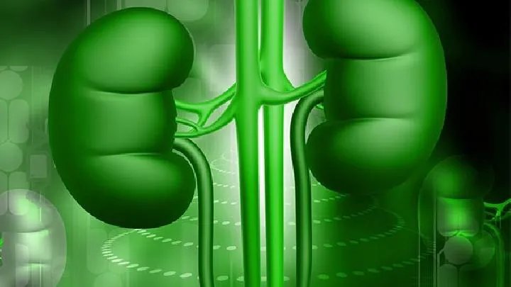 肾虚的治疗方法主要是哪些呢?