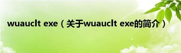 wuauclt exe（关于wuauclt exe的简介）