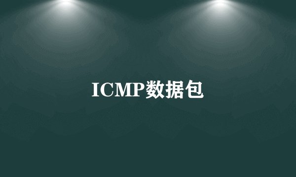 ICMP数据包