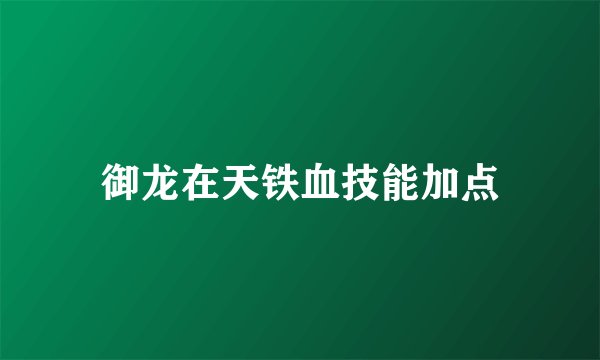 御龙在天铁血技能加点